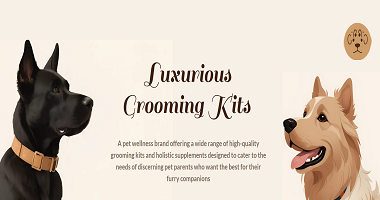 Business Intelligence